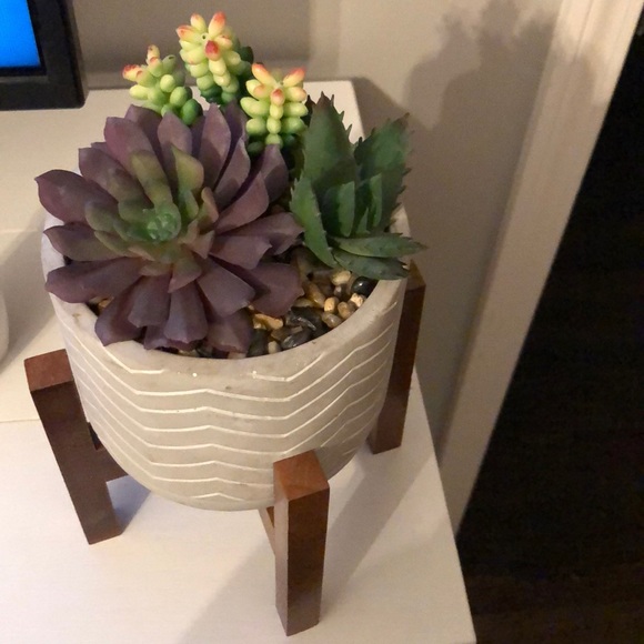 Succulent pot - Picture 2 of 5